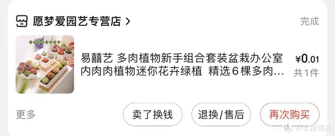 挨土就活的多肉种族，超级适合办公室种植的盆栽